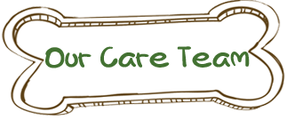 Our Care Team