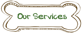 Our Services