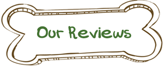 Our Reviews