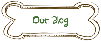 Our Blog
