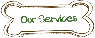 Our Services