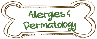Allergies & Dermatology