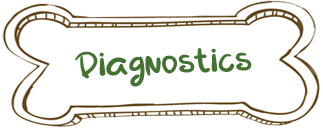 Diagnostics
