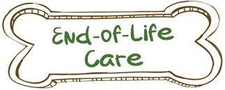 End-of-Life Care