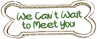 We can't wait to meet you!