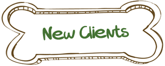 New Clients