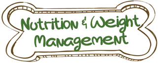 Nutrition & Weight Management