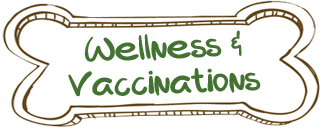 Wellness & Vaccinations