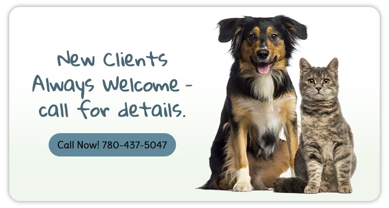 New Clients Always Welcome – call for details.