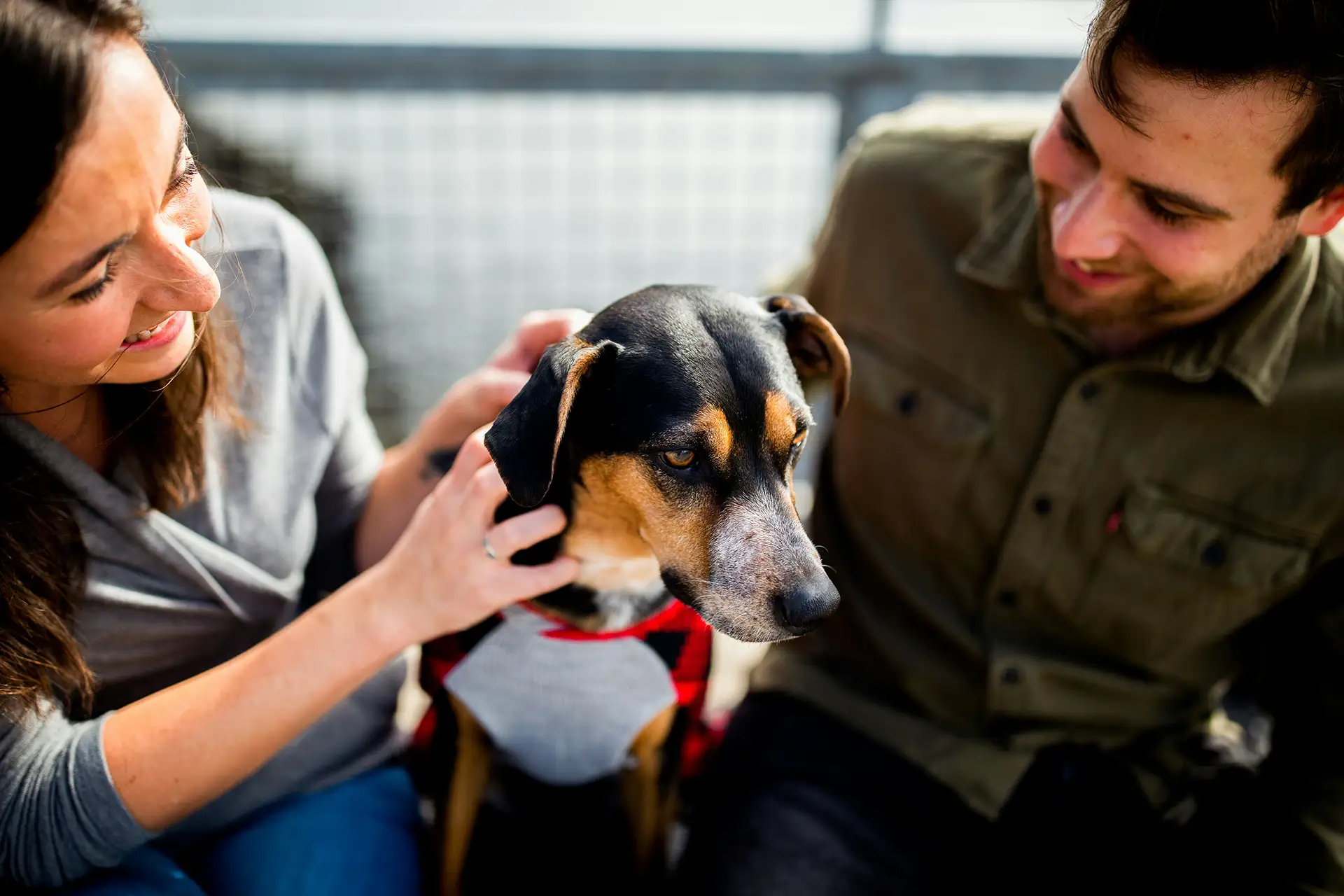 Man and woman petting a dog in a sweater.