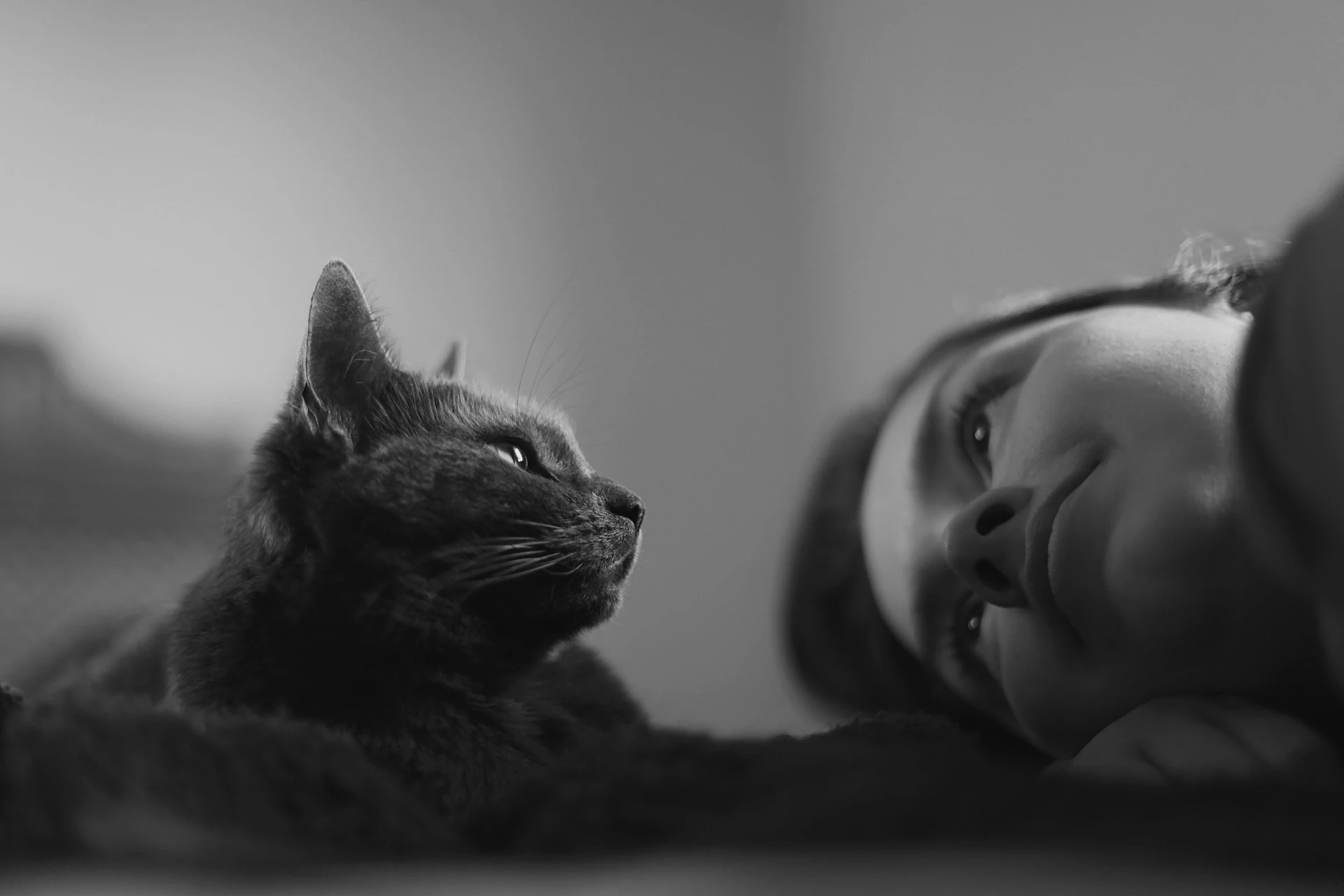 A black and white of a cat and a woman lying, gazing at each other.